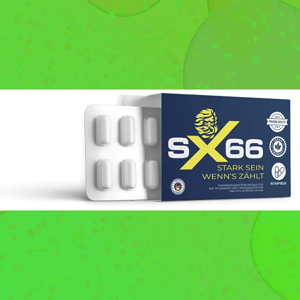 SX 66